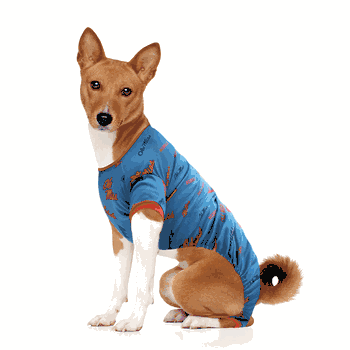 Mississippi Rebels Pet PJs Large