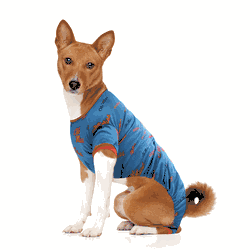 Mississippi Rebels Pet PJs XL