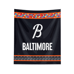 MLB Baltimore Orioles City Connect Wall Hanging 34x40 Inches