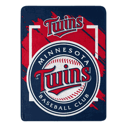 MLB Dimensional Minnesota Twins Micro Raschel Throw