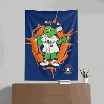 MLB Houston Astros Mascot Wall Hanging 50x60 Inches