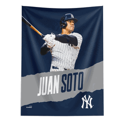 MLB Juan Soto Yankees Wall Hangings