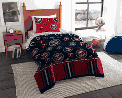 MLB Minnesota Minnesota Twins Rotary Twin Bed In A Bag Set