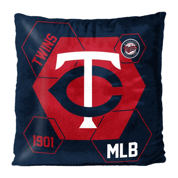 MLB Minnesota Twins Connector Velvet Reverse Pillow 16 x 16 Inches