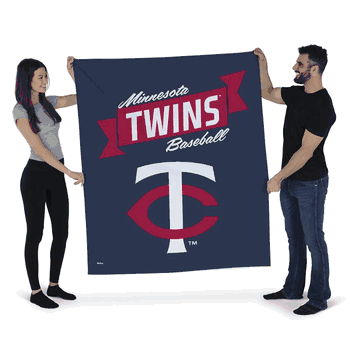 MLB Premium Minnesota Twins Printed Wall Hanging(Pod) 34in x 40in