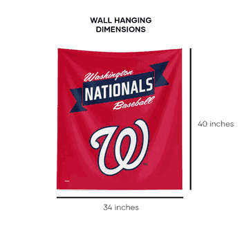 MLB Premium Washington Nationals Printed Wall Hanging(Pod) 34in x 40in