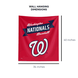 MLB Premium Washington Nationals Printed Wall Hanging(Pod) 34in x 40in