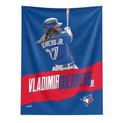 MLB Vladimir Guerrero Blue Jays Wall Hangings