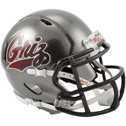 Montana Grizzlies