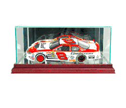 Nascar Cases