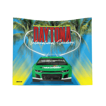 Nascar Daytona Track Feature  Printed Wall Hanging 34x40 inches