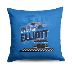 NASCAR Race Track Throw Pillow 18x18 inches