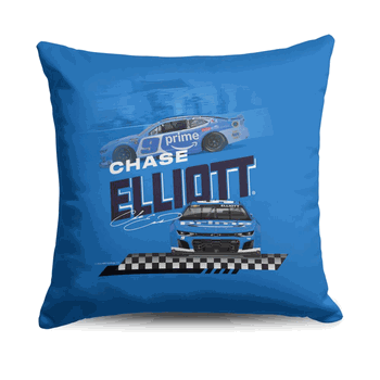 NASCAR Race Track Throw Pillow 18x18 inches