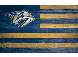 Nashville Predators Distressed Flag 11x19
