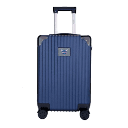 NBA Charlotte Hornets 21 Executive 2-Toned Carry on Spinner