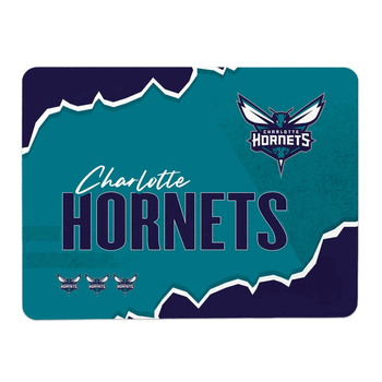 NBA Charlotte Hornets Torn Small Mat 15x20 inches