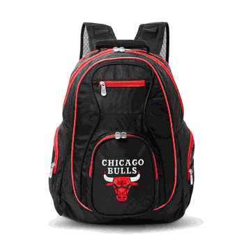 NBA Chicago Bulls 19