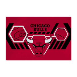 NBA Chicago Bulls Agile Washable Rug 20 x 32 Inches