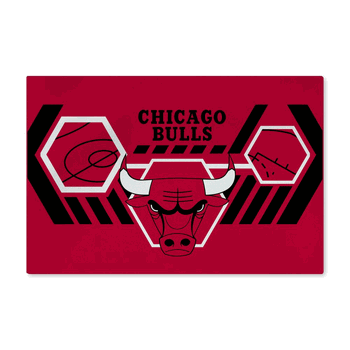 NBA Chicago Bulls Agile Washable Rug 20 x 32 Inches