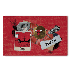 NBA Chicago Bulls Display Washable Rug 32 x 62 Inches
