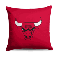 NBA Chicago Bulls Double Down  Throw Pillow 18 x 18 Inches