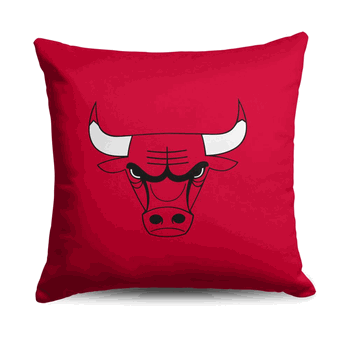 NBA Chicago Bulls Double Down  Throw Pillow 18 x 18 Inches