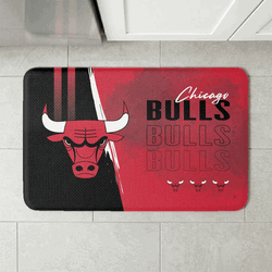 NBA Chicago Bulls Painterly Floor Mat 18�30 inches