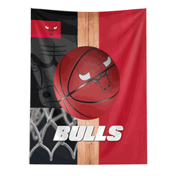 NBA Chicago Bulls Powerball Wall Hanging 50 x 60 Inches