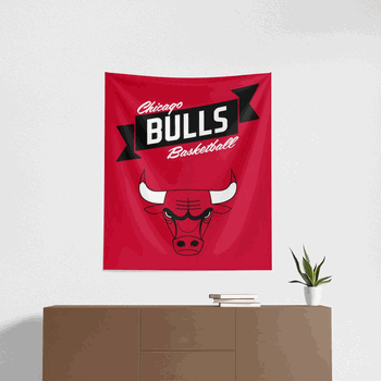 NBA Chicago Bulls Premium Wall Hanging 34 x 40 Inches