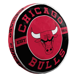 NBA Chicago Bulls Travel Cloud Pillow 15 Inches