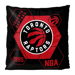 NBA Toronto Raptors Connector Velvet Reverse Pillow