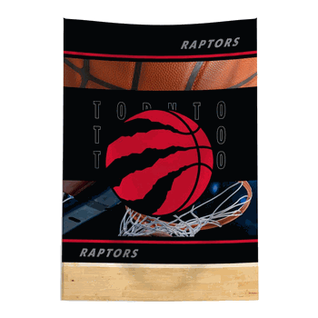 NBA Toronto Raptors Detailed Collage Wall Hanging Tapestry 24x36 inches