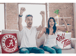 NCAA Alabama Crimson Tide Invert Pillow