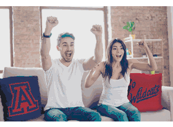 NCAA Arizona Wildcats Invert Pillow