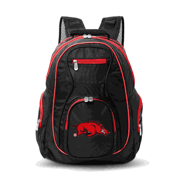 NCAA Arkansas Razorbacks 19