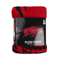 NCAA Arkansas Section Micro Raschel Throw Blanket 46x60 Inches
