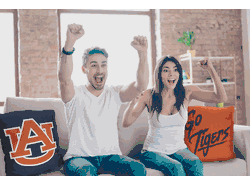NCAA Auburn Tigers Invert Pillow