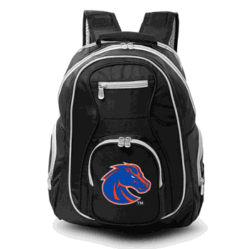 NCAA Boise State Broncos 19