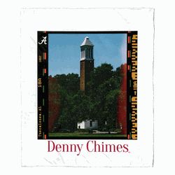 NCAA Campus Life Alabama State Silk Touch Throw Blanket 50x60 Inches