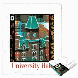 NCAA Campus Life Ohio State Buckeyes Silk Touch Throw