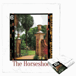 NCAA Campus Life South Carolina Gamecocks Silk Touch Throw