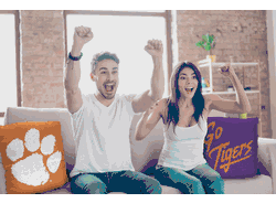 NCAA Clemson Tigers Invert Pillow