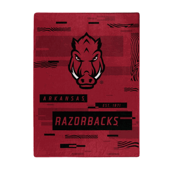 Arkansas Razorbacks Digitize Raschel Plush Throw Blanket