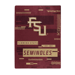 NCAA Digitize Florida State Raschel Throw Blanket 60x80 Inches