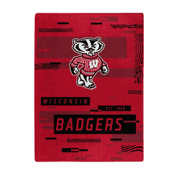 Wisconsin Badgers Digitize Raschel Plush Throw Blanket