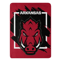 NCAA Dimensional Arkansas Micro Raschel Throw Blanket 46x60 Inches
