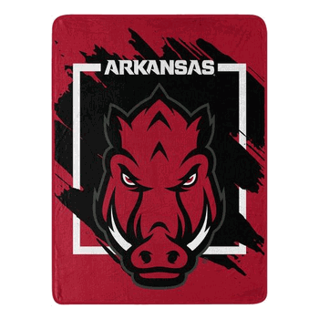NCAA Dimensional Arkansas Micro Raschel Throw Blanket 46x60 Inches