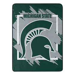 NCAA Dimensional Michigan State Micro Raschel Throw Blanket 46x60 Inches