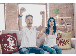 NCAA Florida State Seminoles Invert Pillow