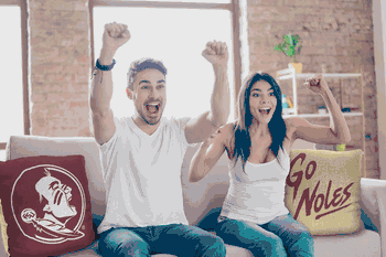 NCAA Florida State Seminoles Invert Pillow